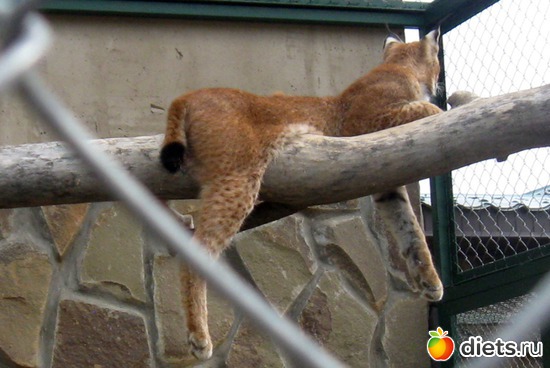 14 фото: Экзотик парк