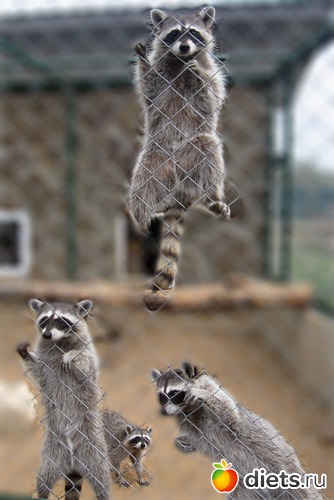 15 ����: ������� ����