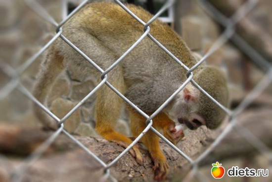 20 ����: ������� ����