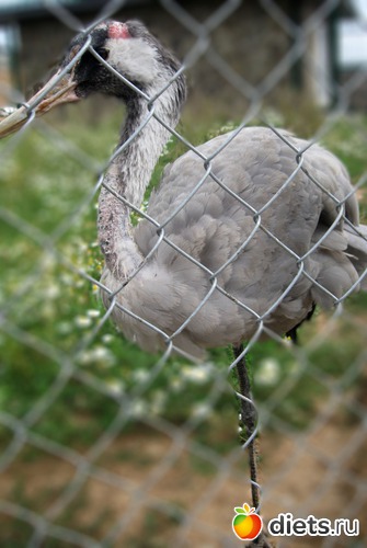 21 ����: ������� ����