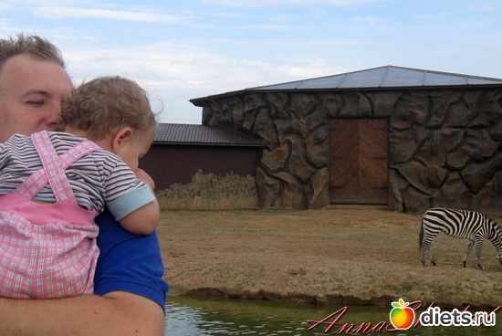 Полосатики, альбом: Экзотик парк