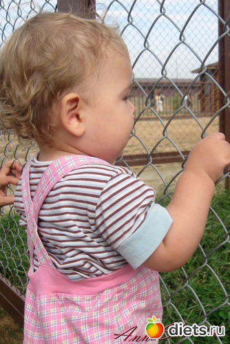 23 ����: ������� ����