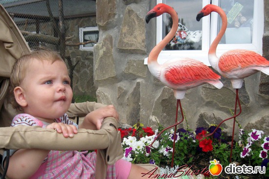 24 ����: ������� ����