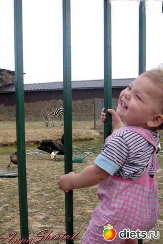 27 ����: ������� ����