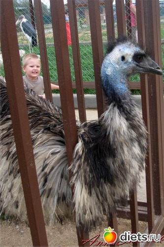 29 ����: ������� ����