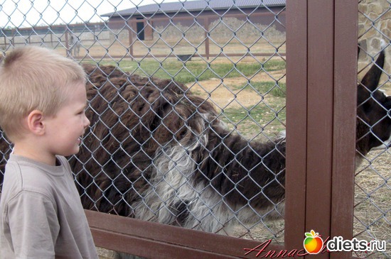 30 ����: ������� ����