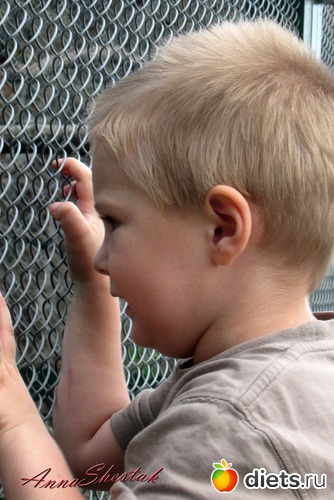 31 ����: ������� ����