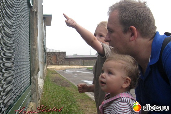 38 ����: ������� ����