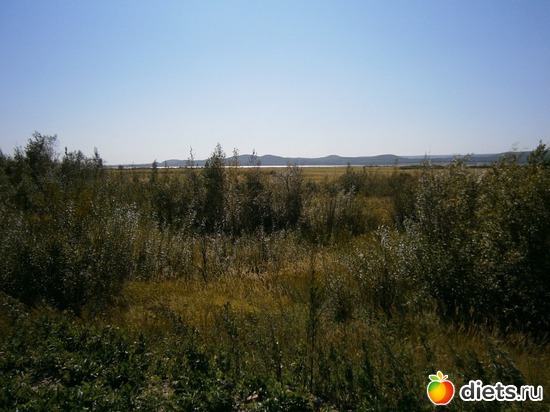 3 фото: Мои работы