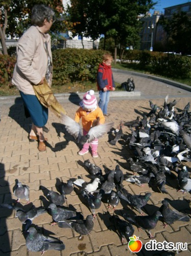 5 ����: ��� ������