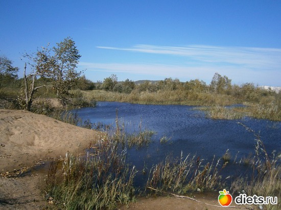 6 ����: ��� ������