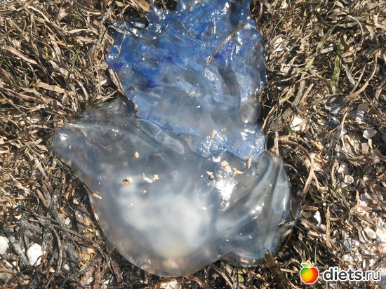 1 ����: ����� ����