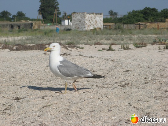 4 ����: ����� ����