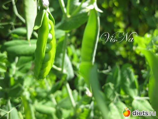 213 ����: ��� ������ �� ���������� �����