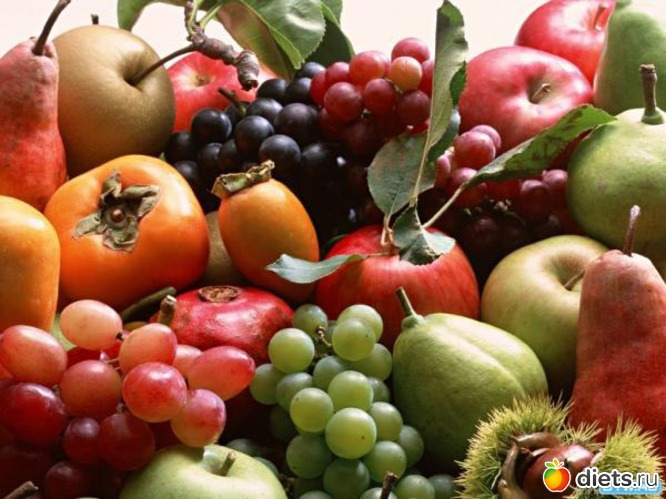 1 ����: ������