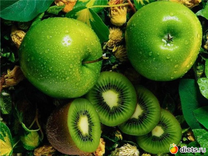 12 ����: ������