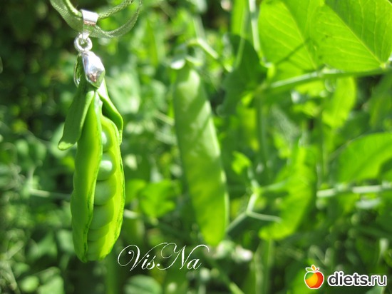 219 ����: ��� ������ �� ���������� �����