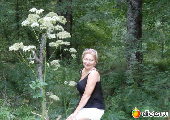 61 ����: ��� �