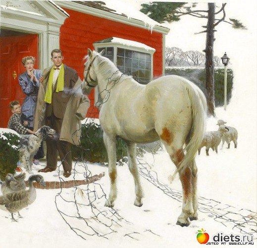 27 ����: ��������� � ��������� �� ���� �������.