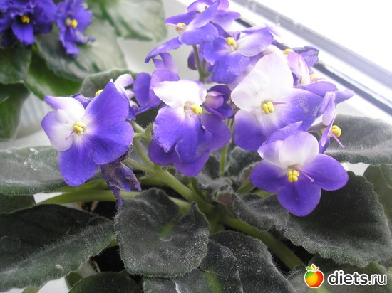 8 фото: Всякое