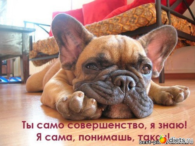 1 фото: приколы