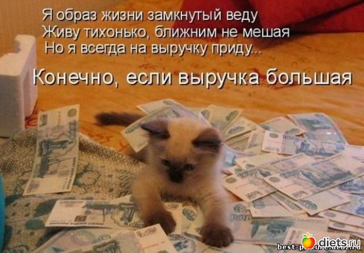 2 фото: приколы