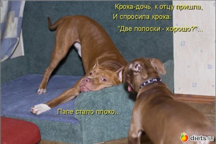 4 фото: приколы