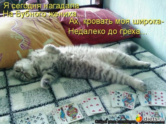 5 фото: приколы