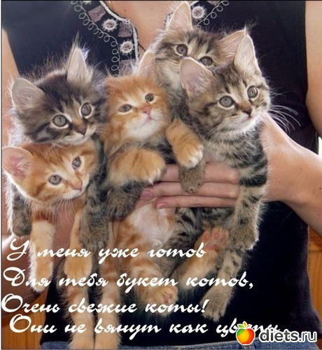 7 фото: приколы