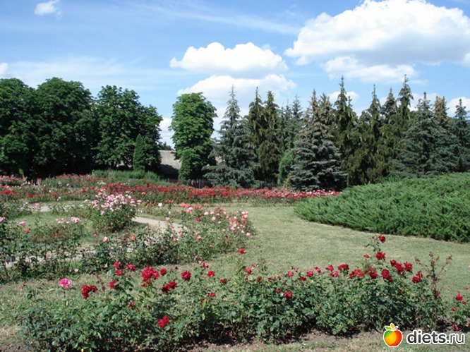 2 фото: Город, где я родилась и выросла