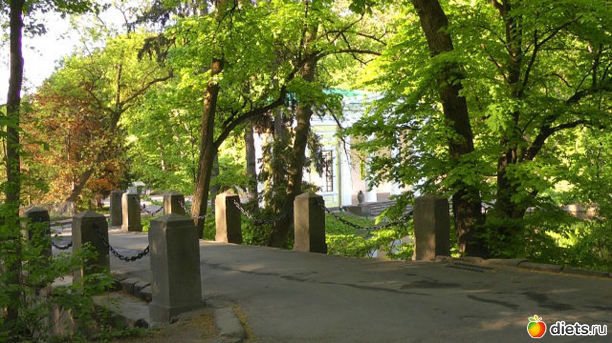 6 фото: Город, где я родилась и выросла