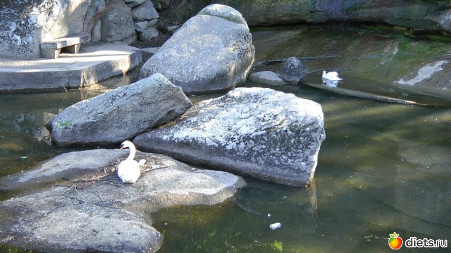 9 фото: Город, где я родилась и выросла