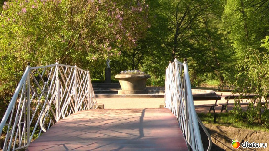 27 фото: Город, где я родилась и выросла