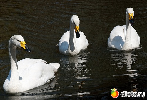 Город, где я родилась и выросла