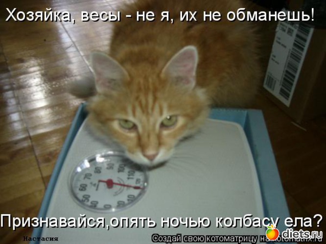 3 ����: ����)