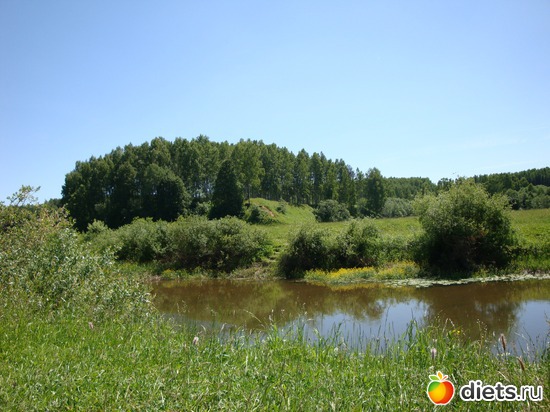 ���� ����� �������� ���. �������� ����� 2012 �, ������: ���� 2012