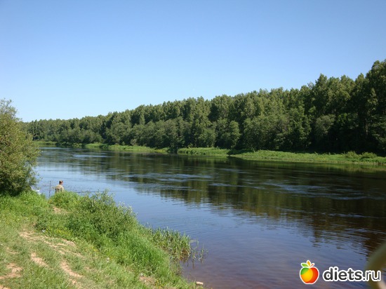 ���� ����� �������� ���. �������� ����� 2012 �, ������: ���� 2012