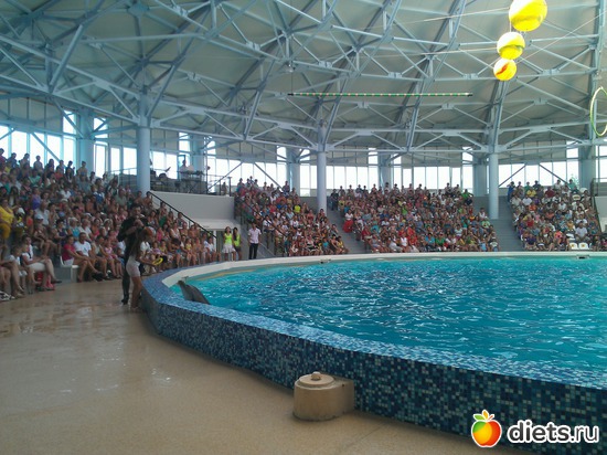 Юные таланты! Море без дельфинов не море!