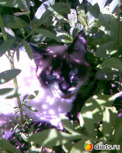 14 фото: Моя семья - 2012г