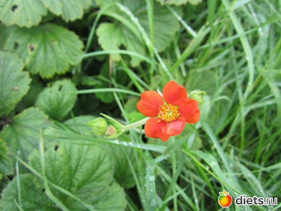 27 ����: ��� ����