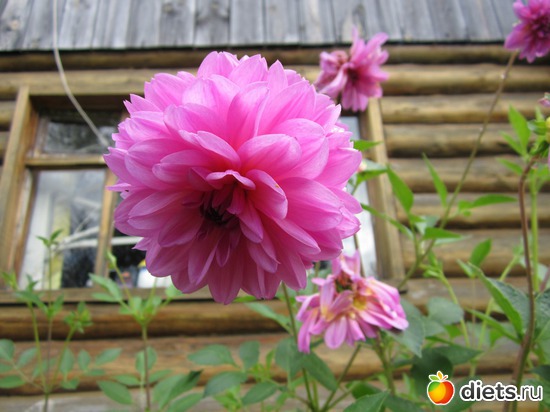 28 ����: ��� ����