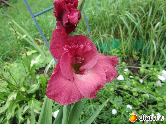 30 ����: ��� ����