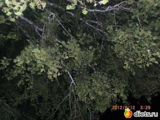 ����� � ����, ������: ����