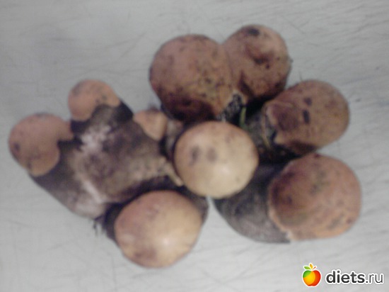 15 фото: цветы