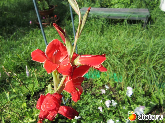 45 ����: ��� ����