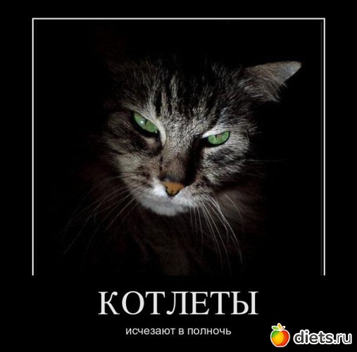 1 фото: Такие разные звери....