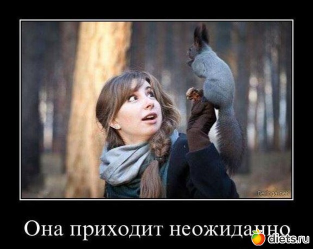 3 фото: Такие разные звери....