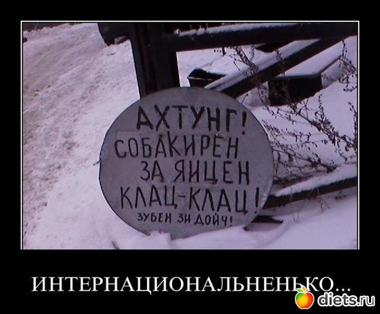 10 фото: Такие разные звери....