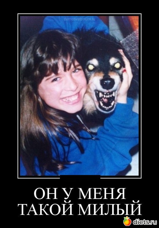 11 фото: Такие разные звери....