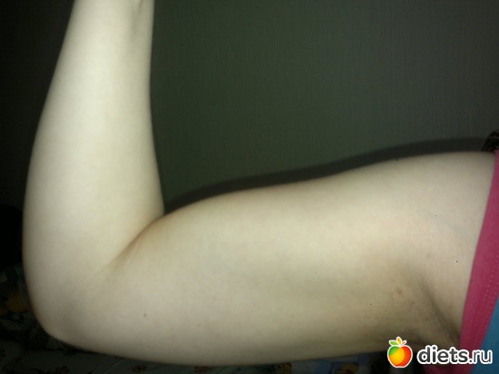 1 ����: ��������